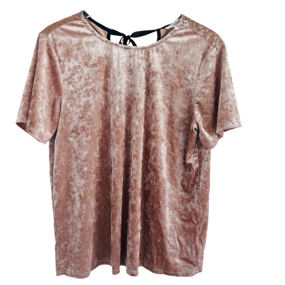 beachlunchlounge Tops - beach Lunch Lounge Velvet Blush Short Sleeve Top